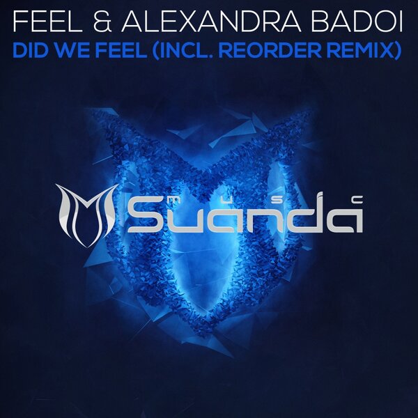 Cover for Did We Feel