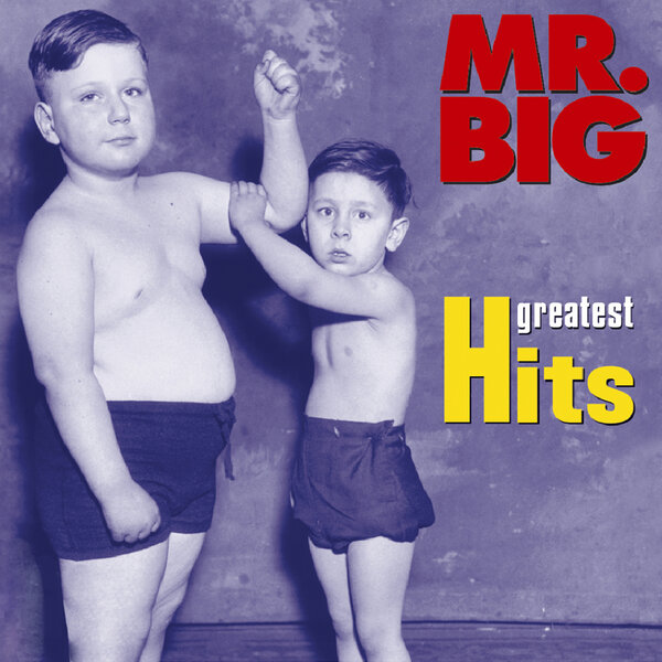 Cover for Wild World