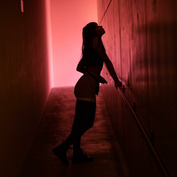 Cover for I Will Survive