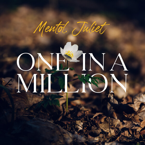 Cover for One in a Million