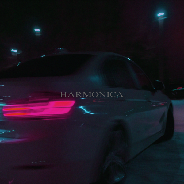 Cover for Harmonica