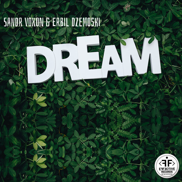 Cover for Dream