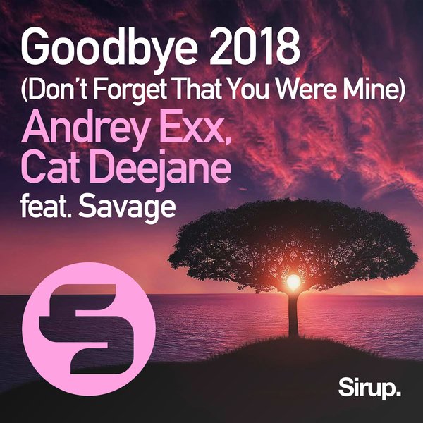 Cover for Goodbye (Don't Forget That You Were Mine) 2018