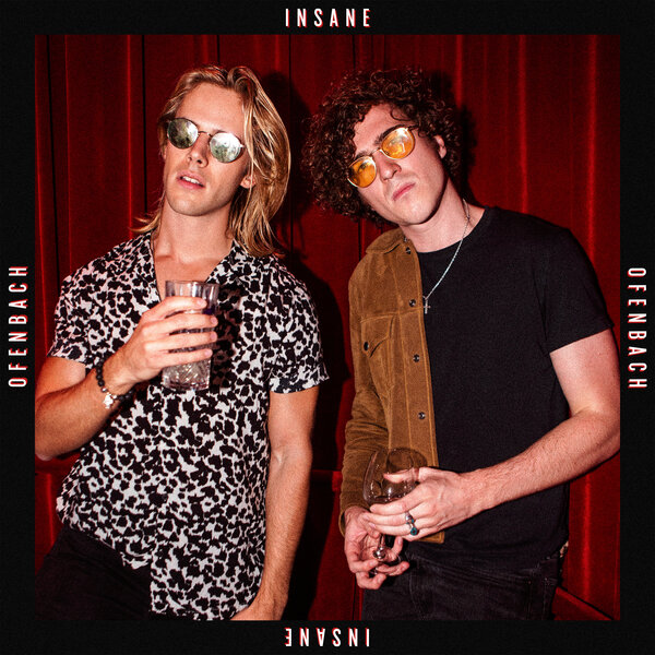 Cover for Insane
