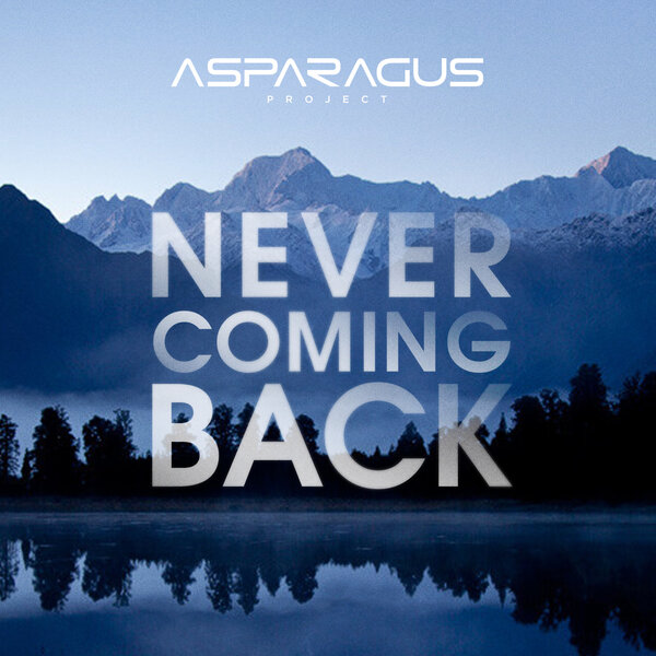 Cover for Never Coming Back