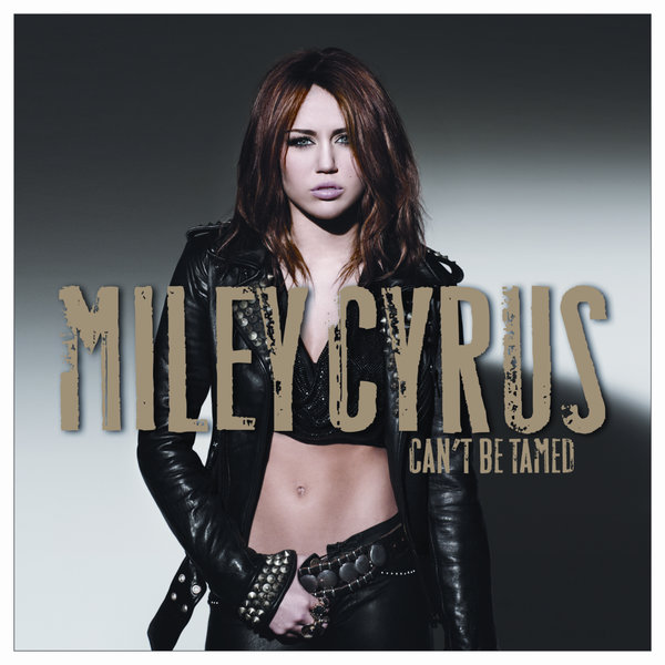Cover for Who Owns My Heart