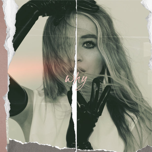 Cover for Why