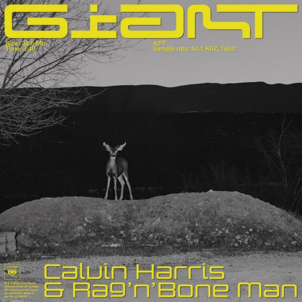 Cover for Giant (with Rag'n'Bone Man)