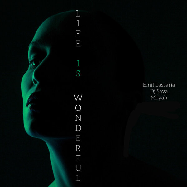 Cover for Life Is Wonderful